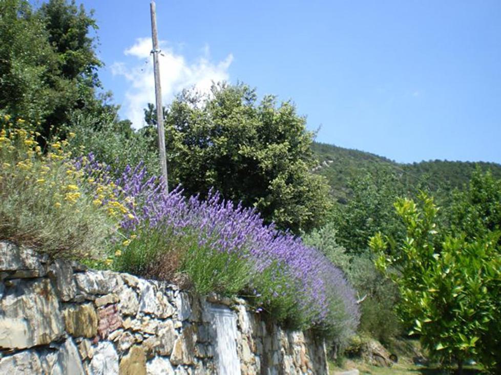 Cottage La Torre Del Pittore Bonassola Exterior photo